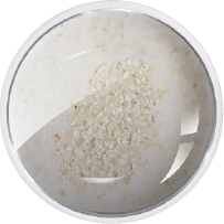 Cooked Wheat
