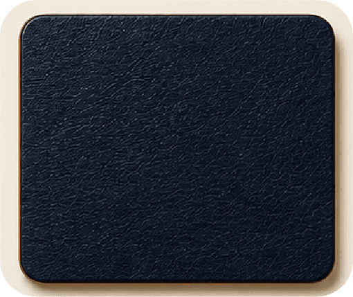 Midnight Navy